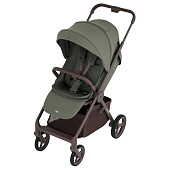 Детская прогулочная коляска Anex Ride (RD-03) Freshy 01